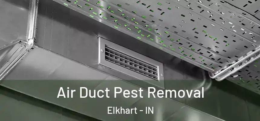 Air Duct Pest Removal Elkhart - IN