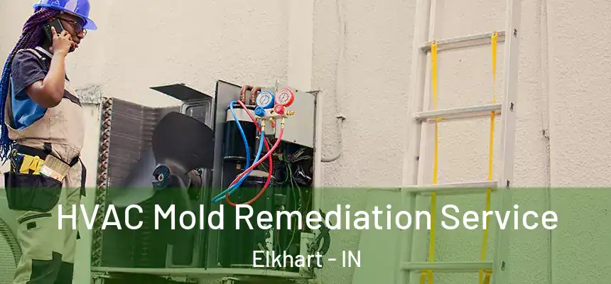  HVAC Mold Remediation Service Elkhart - IN
