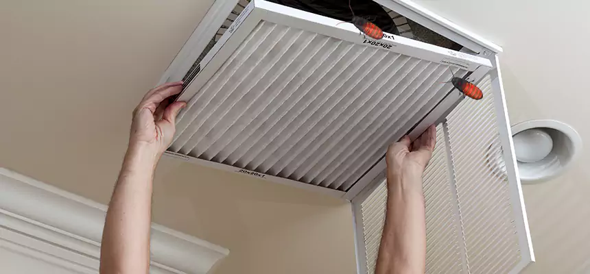 Preventive Cockroach-Proofing for Ducts in Elkhart