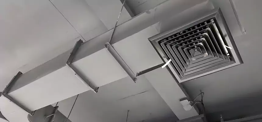 Restorative Allergy Relief Vent Cleaning – Coil, Blower & Housing Detail in Elkhart