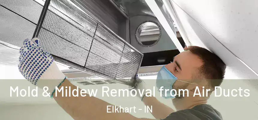 Mold & Mildew Removal from Air Ducts Elkhart - IN
