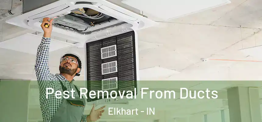  Pest Removal From Ducts Elkhart - IN