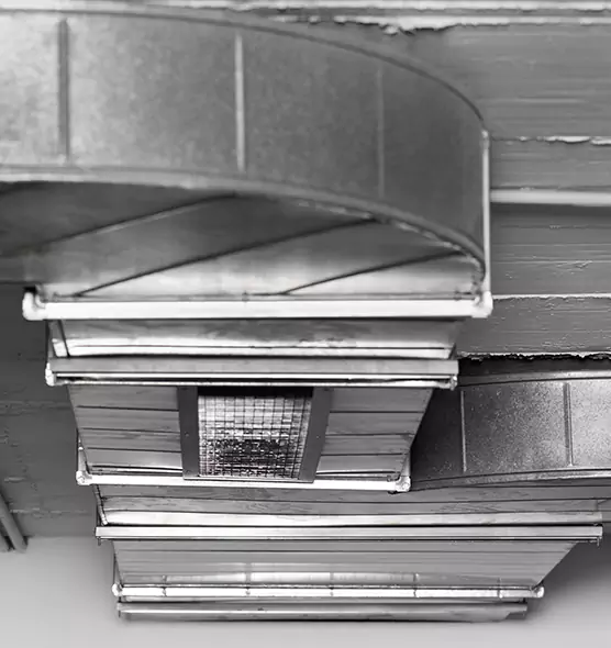 Professional Air Duct Pet Hair Removal in Elkhart, IN