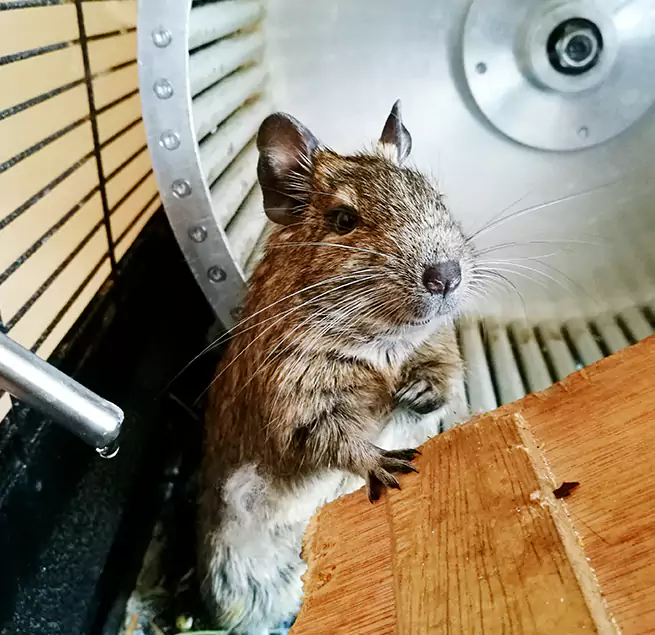 Why Homeowners & Businesses Trust Us Elkhart, IN?